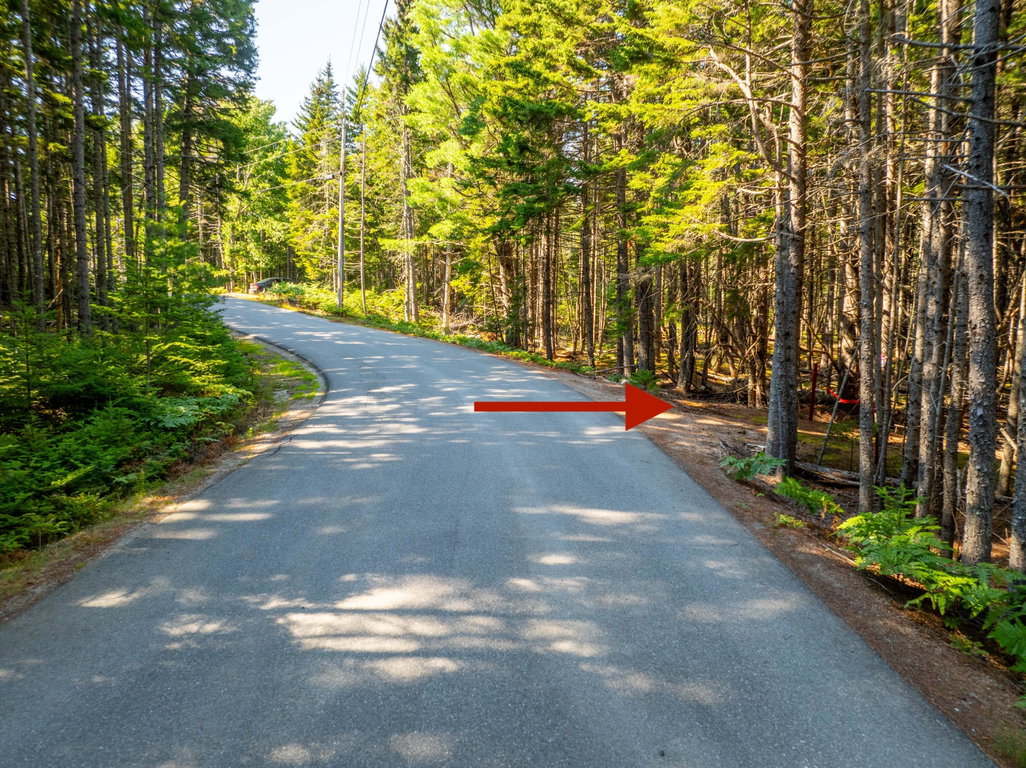 Driveway from Paul BunyanRoad