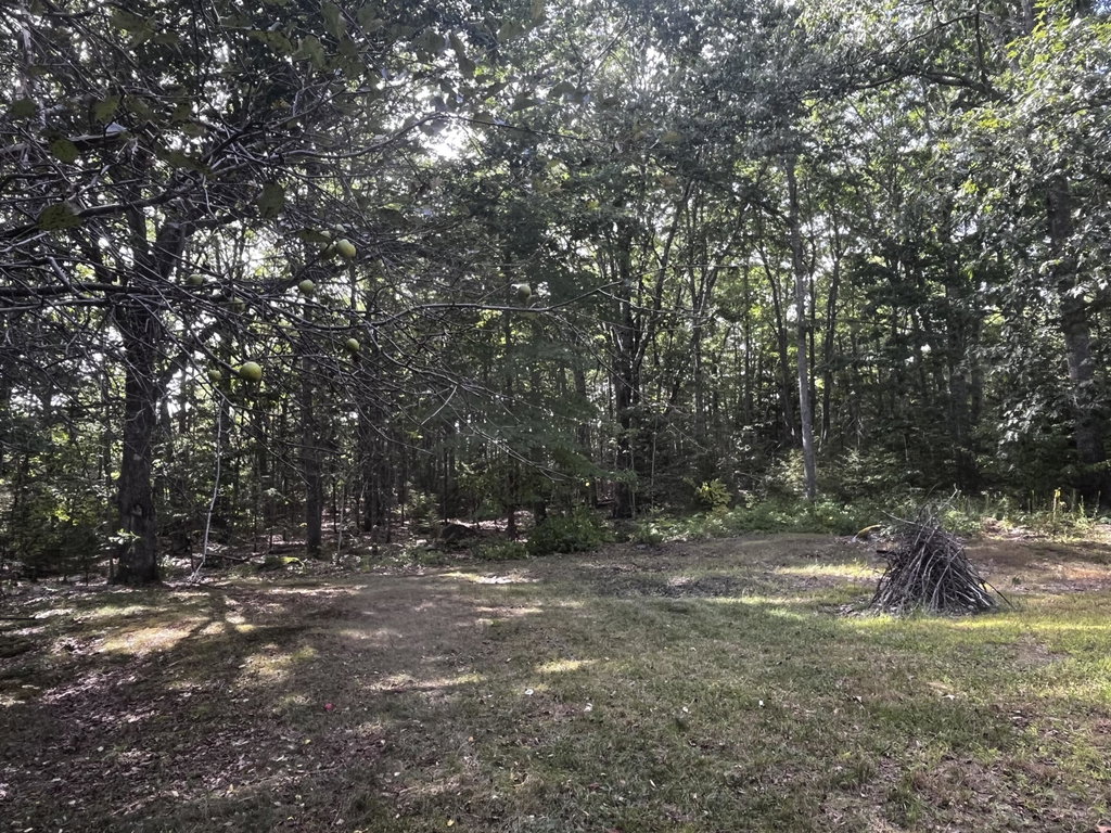 Private rear yard