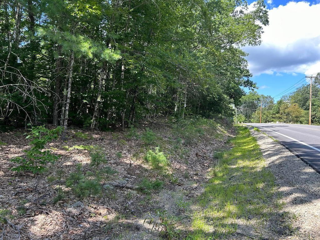 Lot 06-04 Route 109 Route Acton