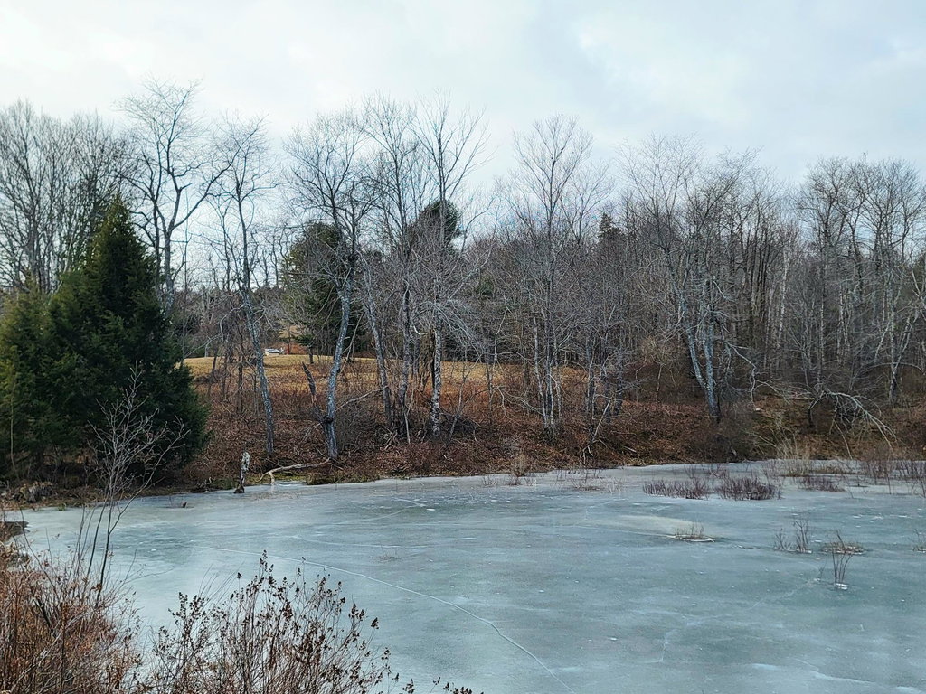 Mill Pond