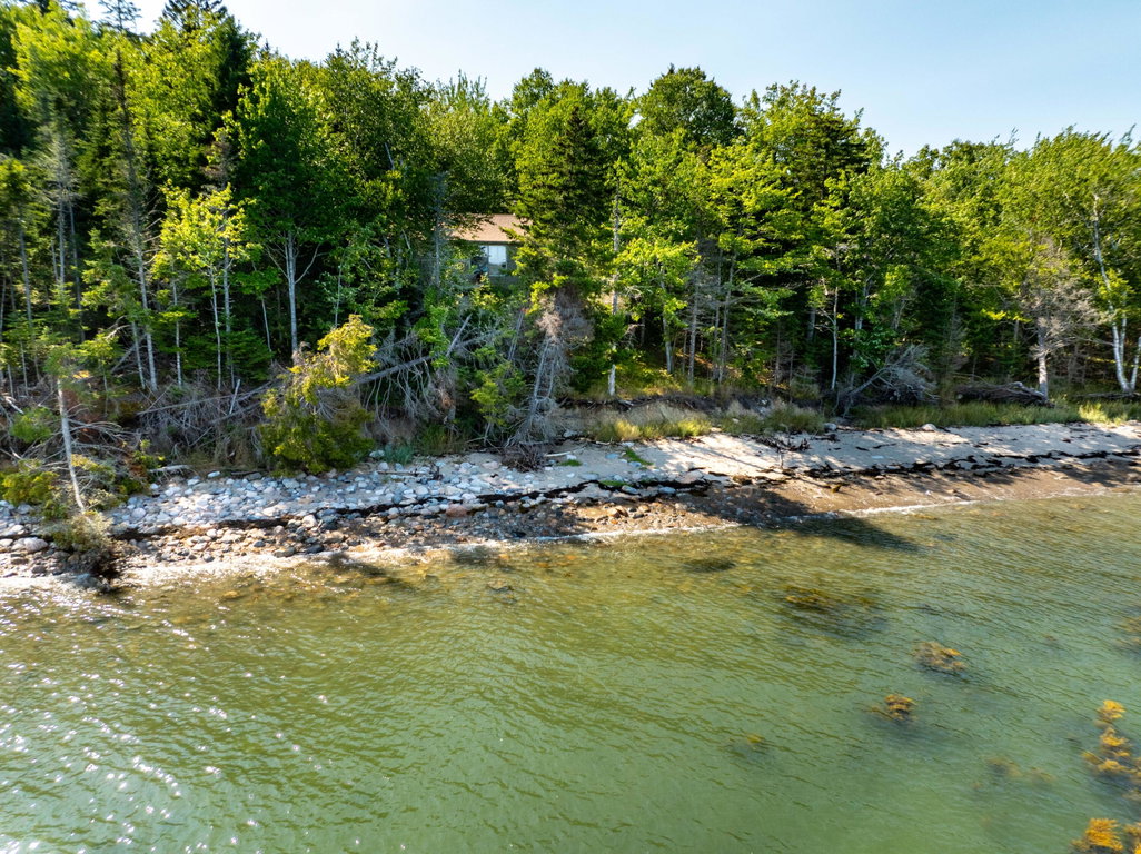 The Treehouse & Beach