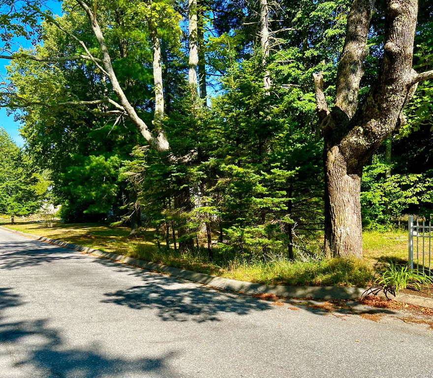 High Road Southwest Harbor