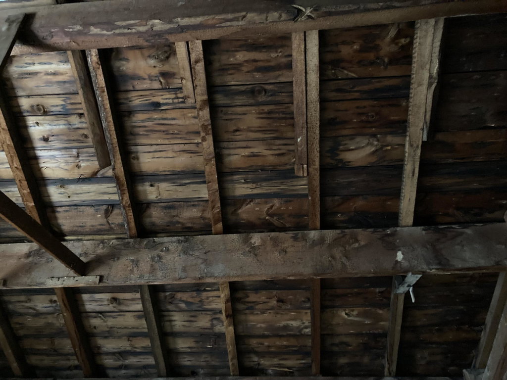 Rafters.