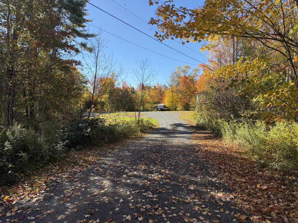 Driveway