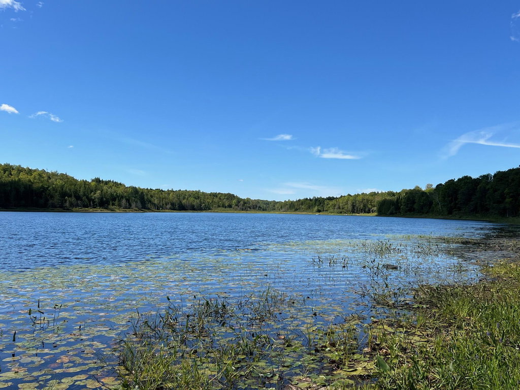Map 1 Lot 16 Dexter Road Garland