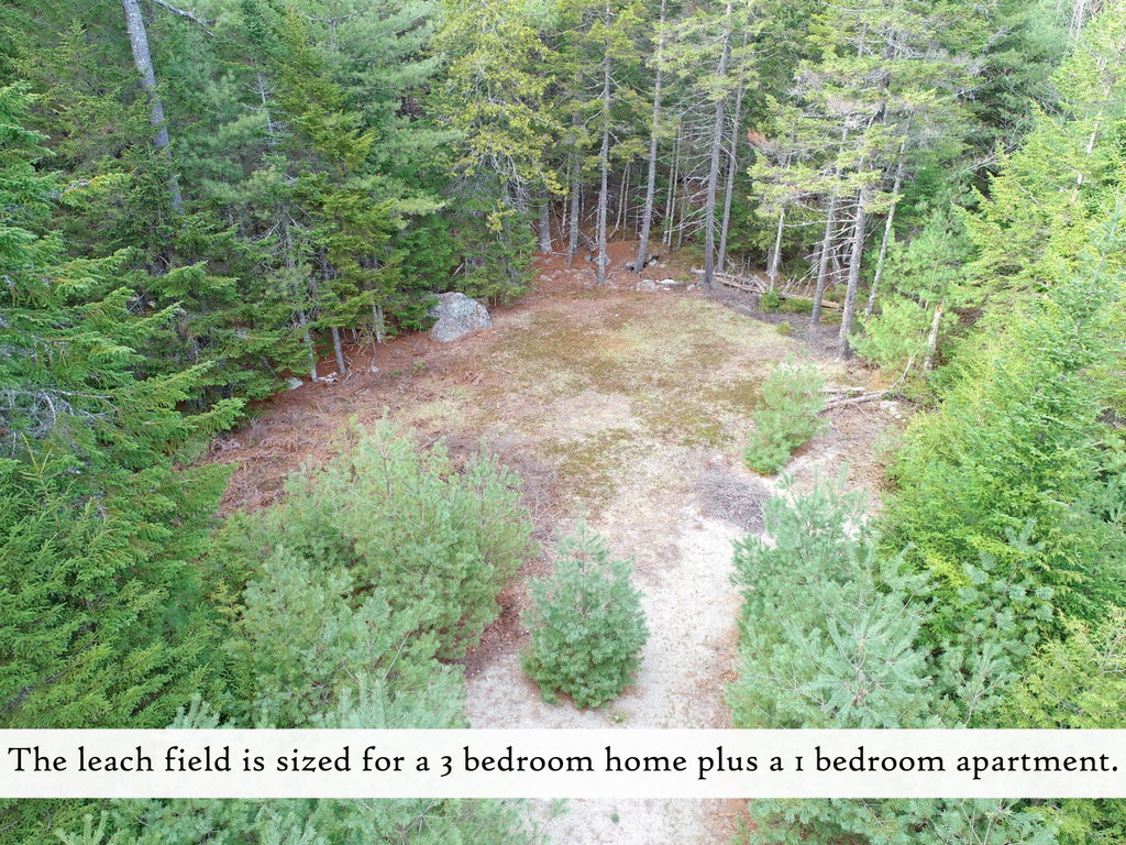 leach field (1), label
