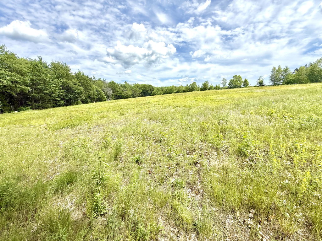 Lot 4