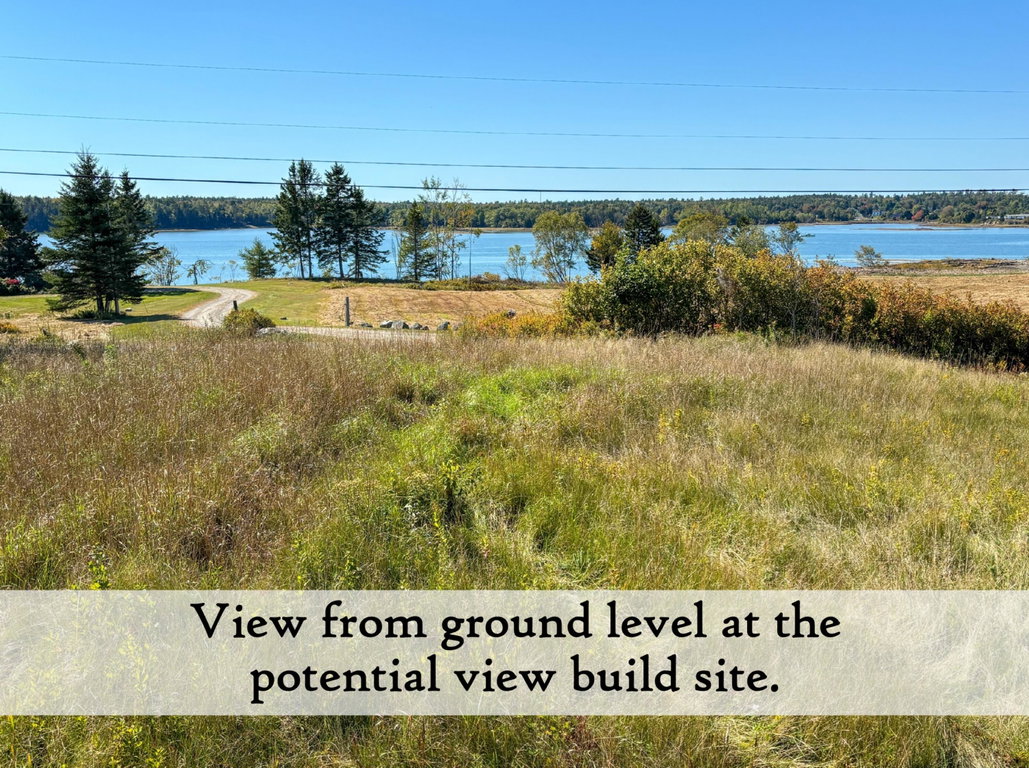 View from future home site ground level