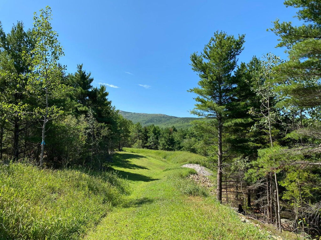 Lot 21 Hamilton Hill Way Bar Harbor
