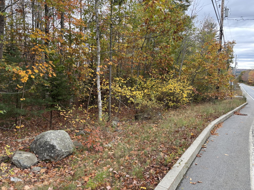 IMG_2178