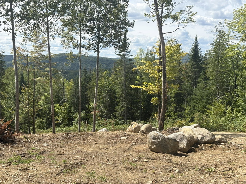 Lot 10 Mt. Jefferson Heights Lee