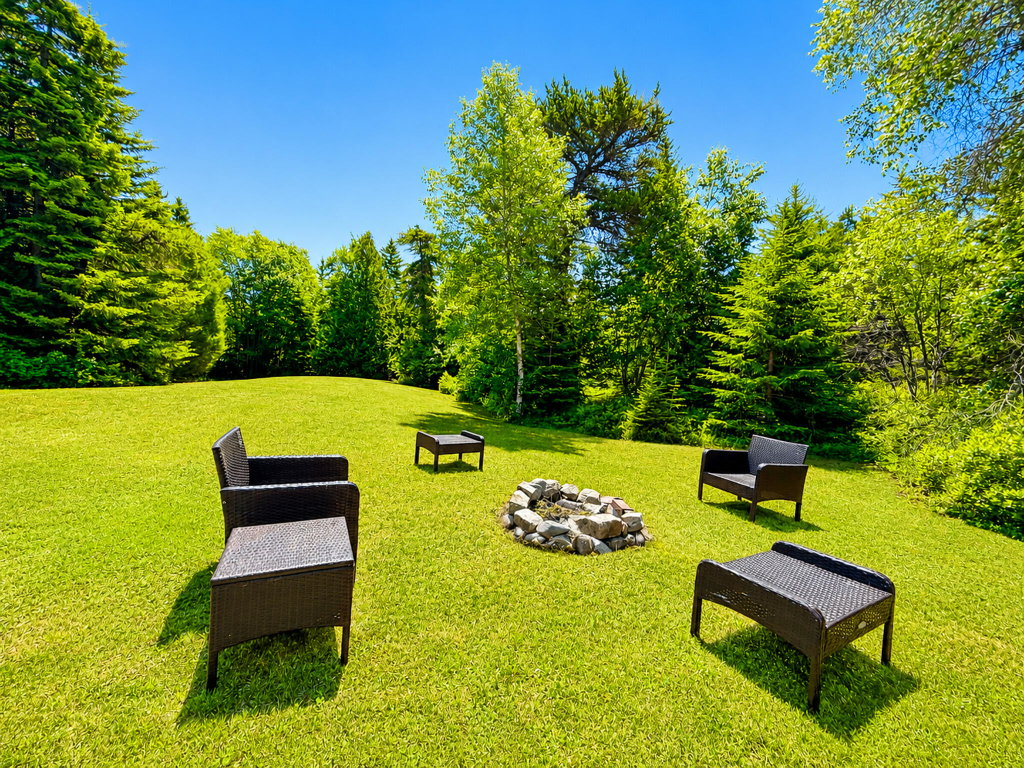 Back lawn
