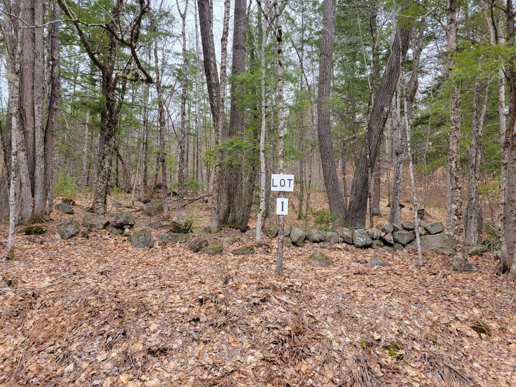 Lot #1 West Fryeburg Road Fryeburg