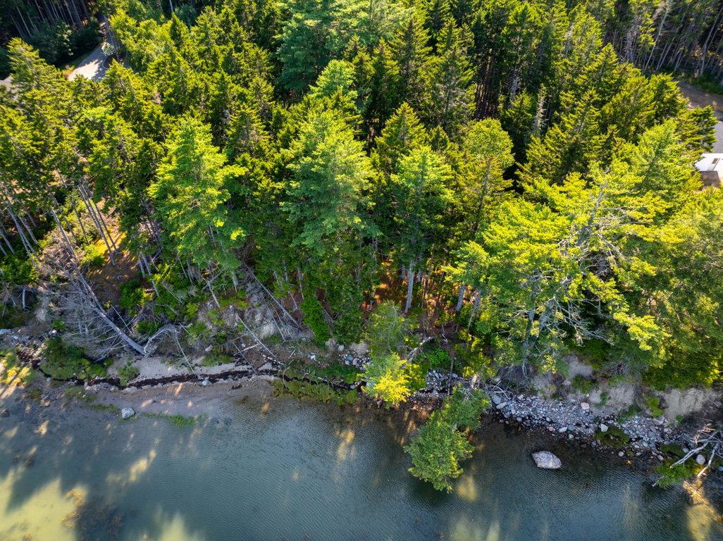Shoreline