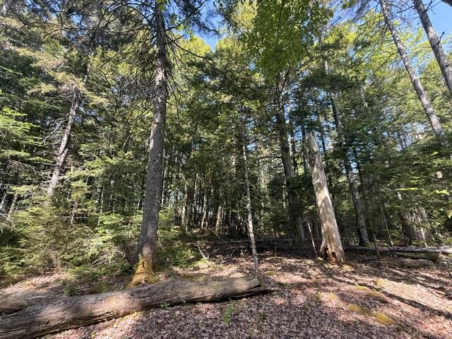Lot #17 Sunset Cove Way Orland