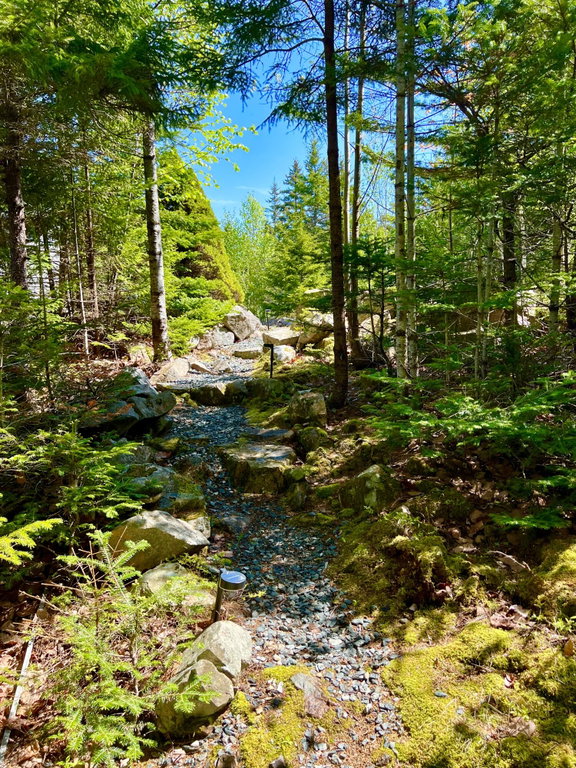 Meandering path