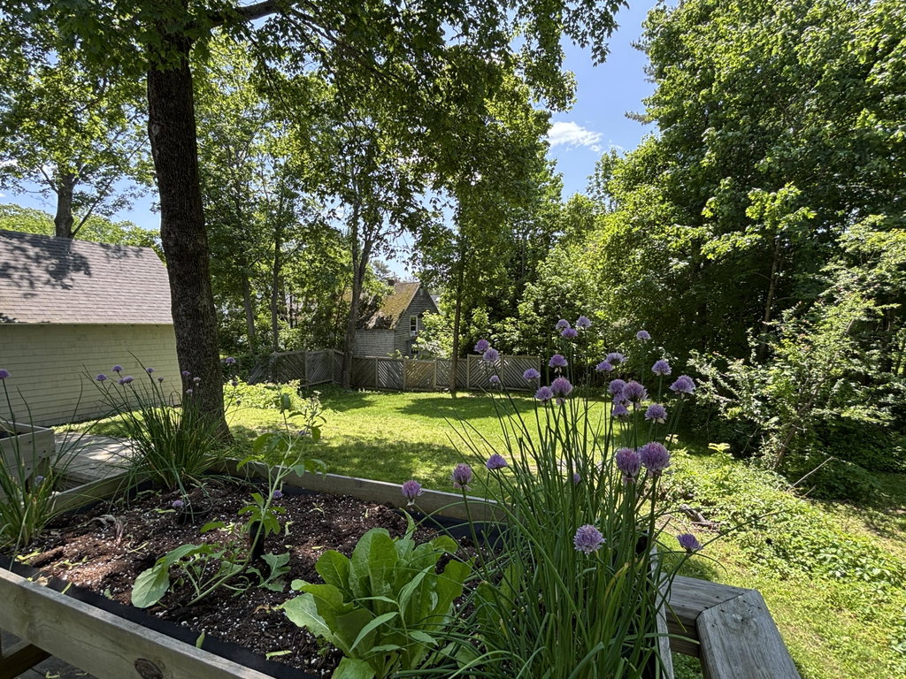 Yard