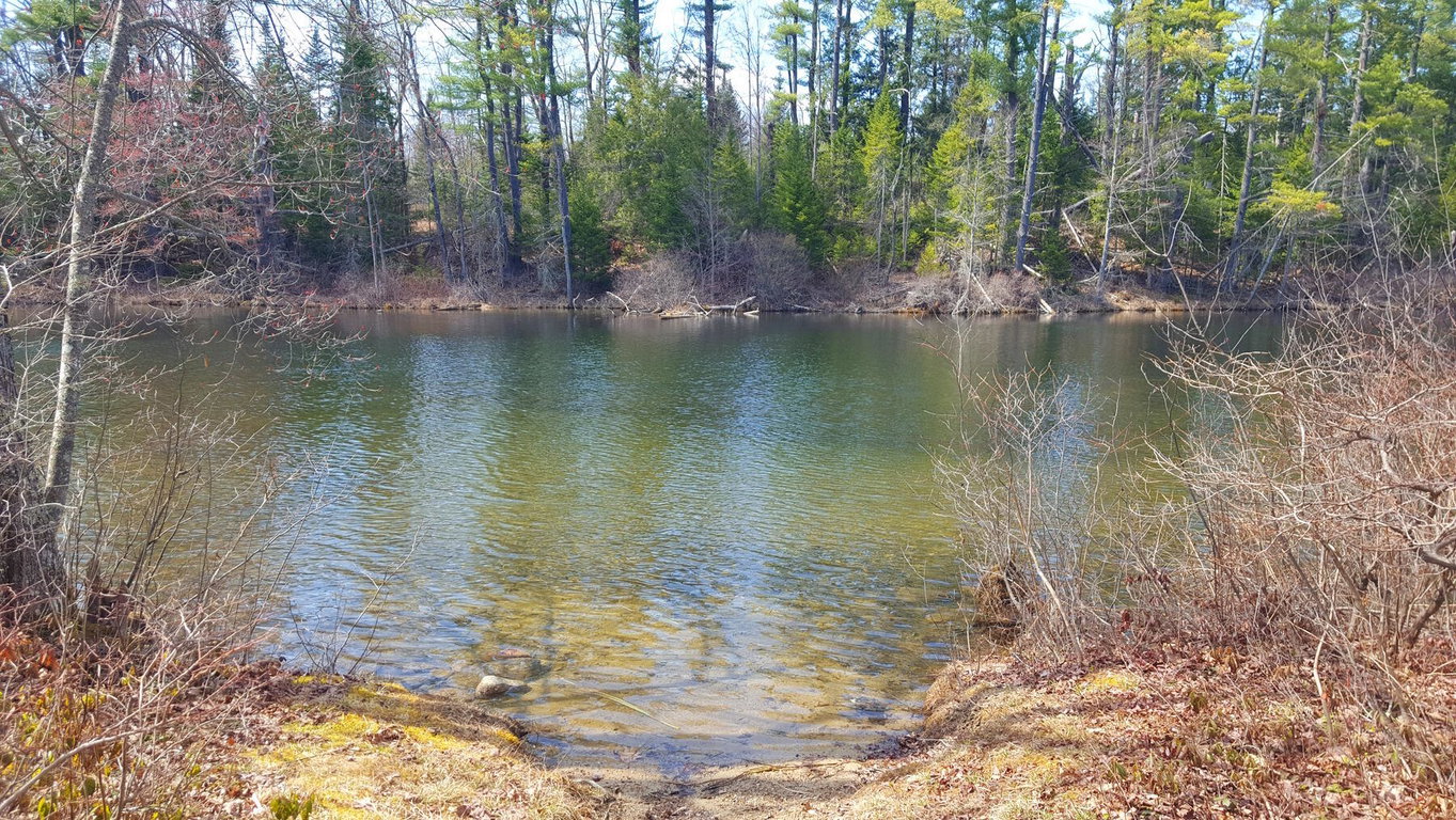 594 River Road Road Windham