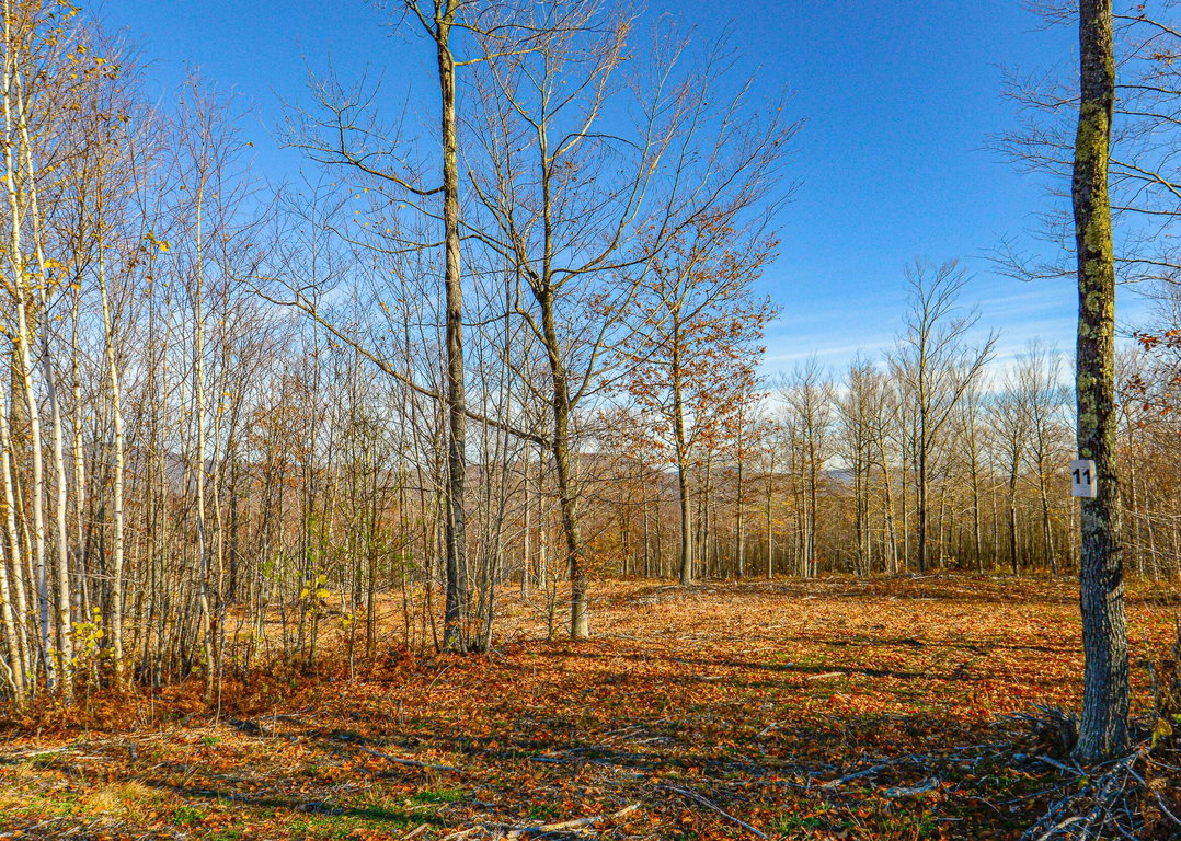 Lot 11 Mine Road Stoneham