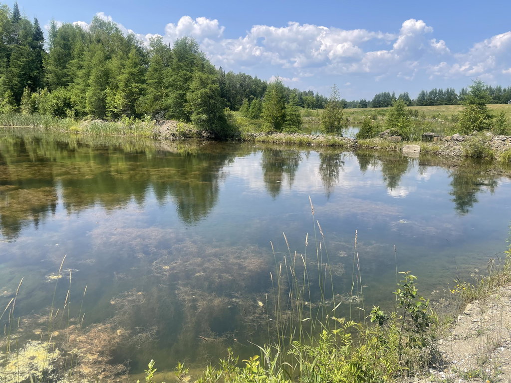 Lot 42 Lombard Road Caribou