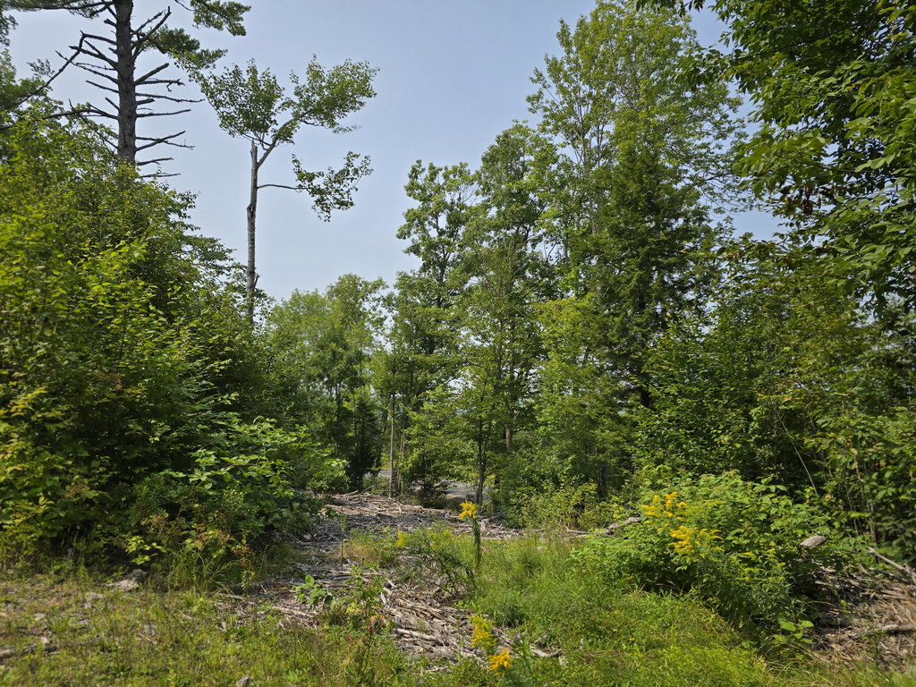 Lot7 Bear Brook Subdivision  Sebec