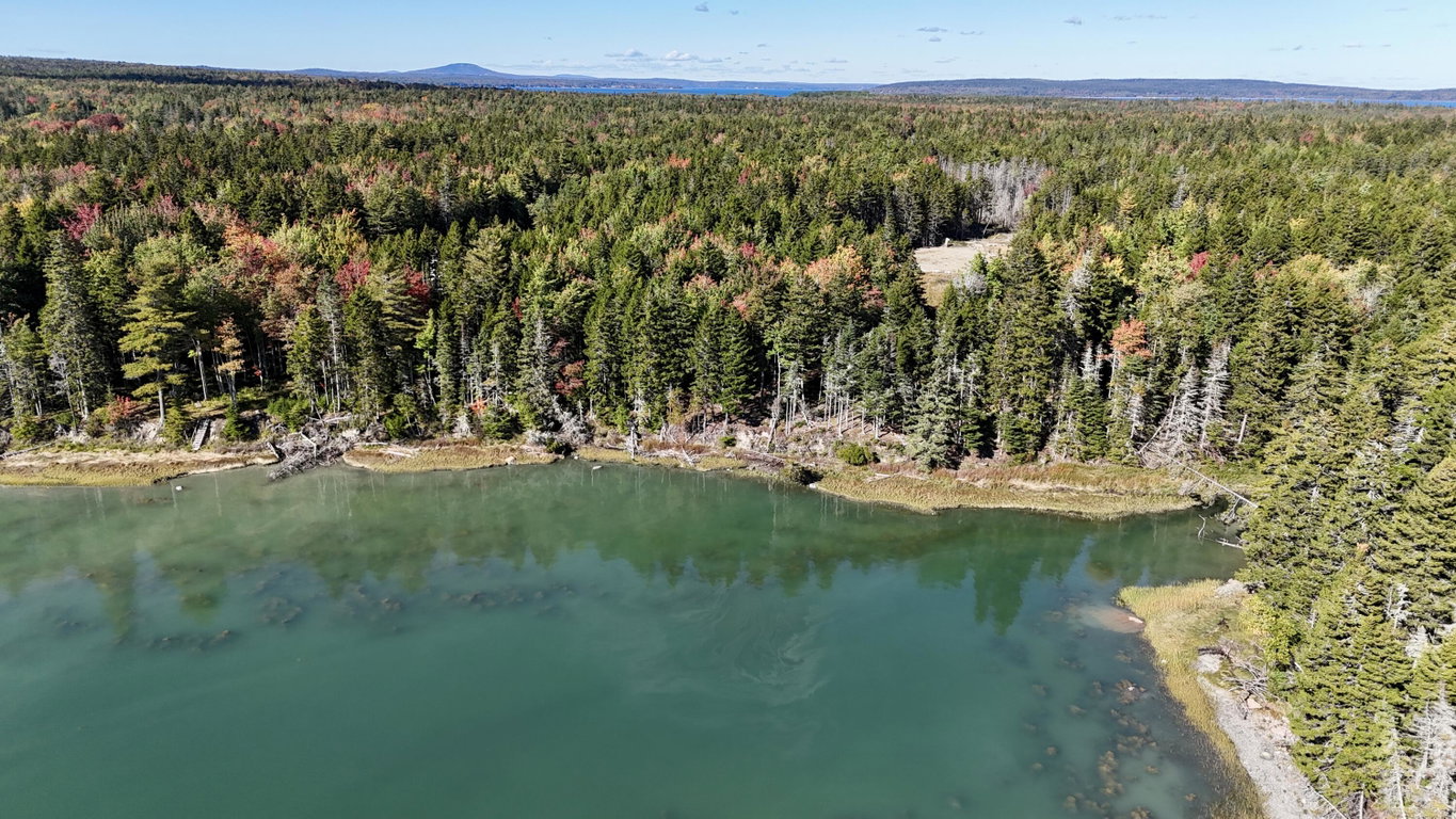 dji_fly_20261003_144320_0378_17912071067