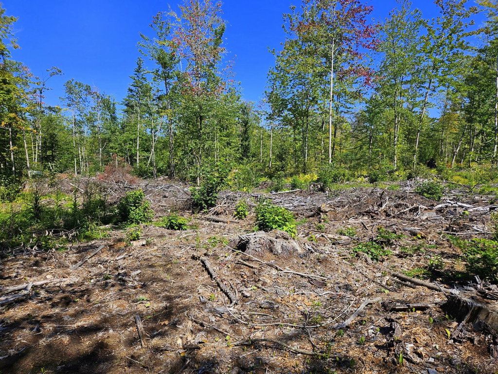 Lot 33-2 Cape Cod Hill Road New Sharon