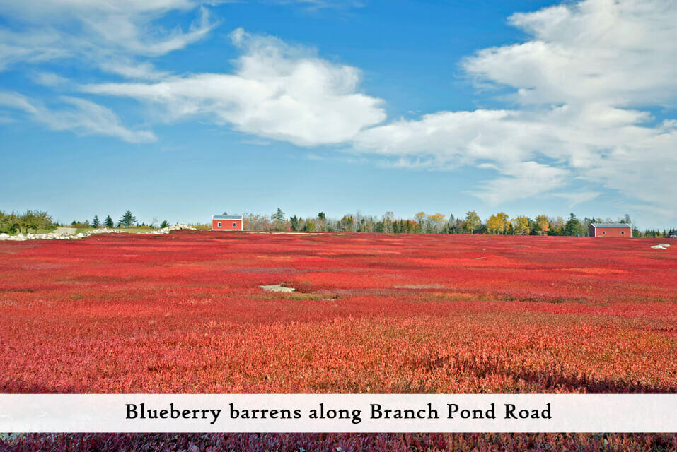 along Branch Pond Road
