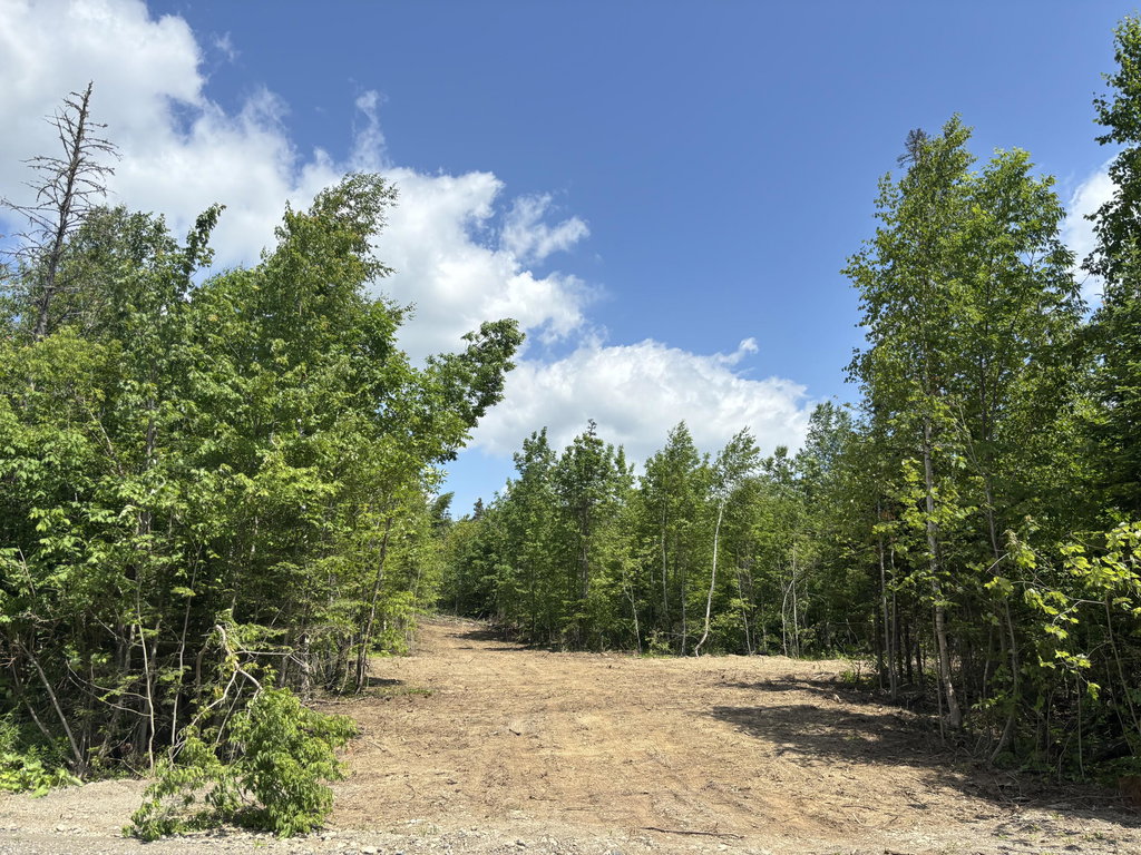 Lot A McDonald Road Littleton