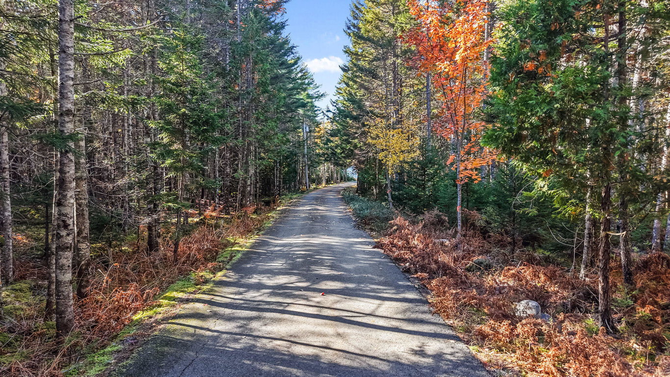 Paved Drive