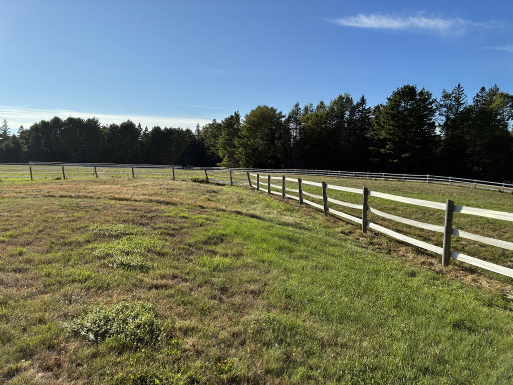 Behind house outside fence.