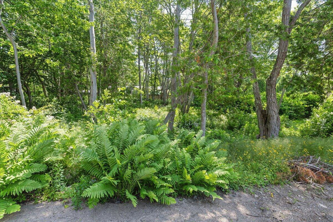 13-Land - Northeast Harbor-5