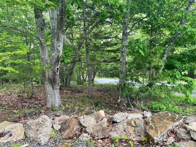 346 Shore Drive Owls Head