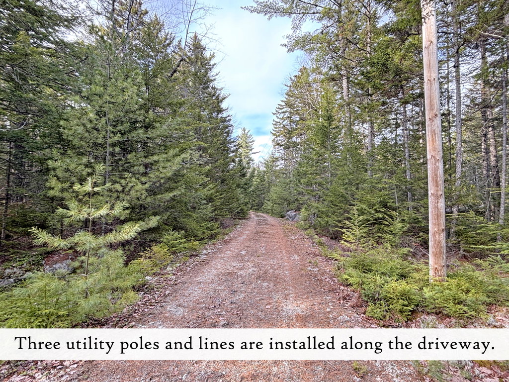 driveway (3), label