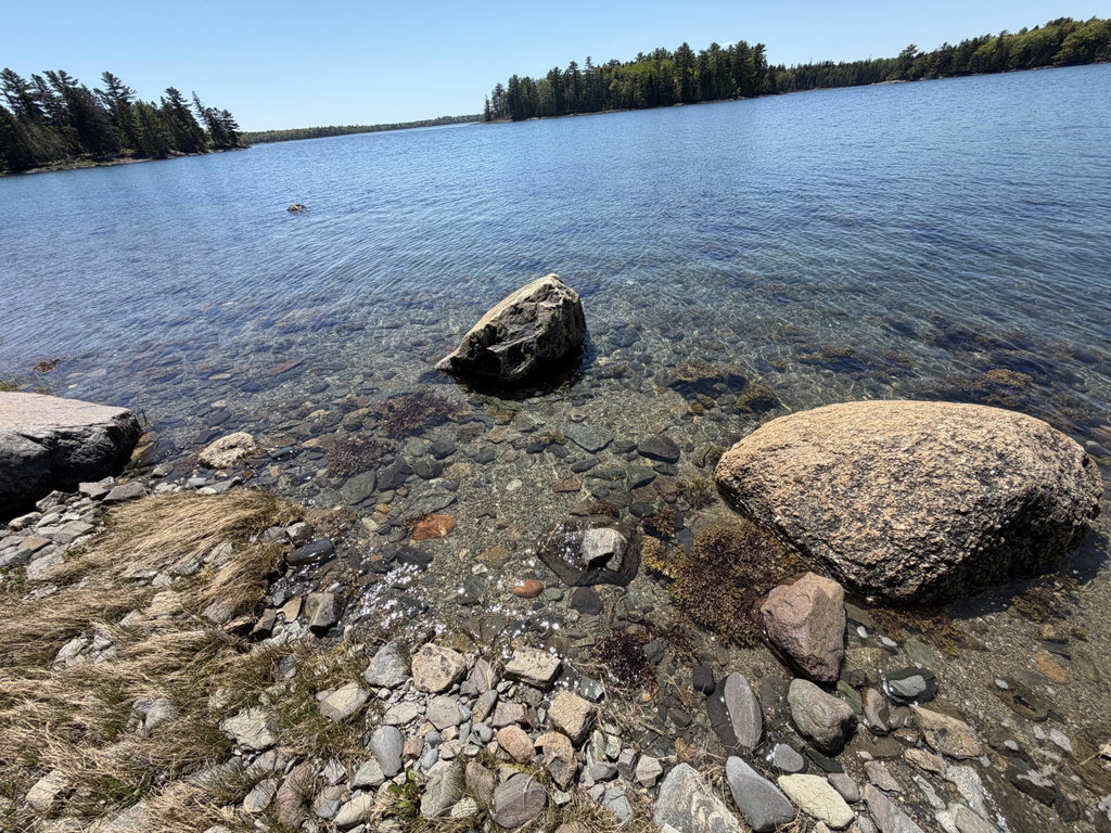 rocks