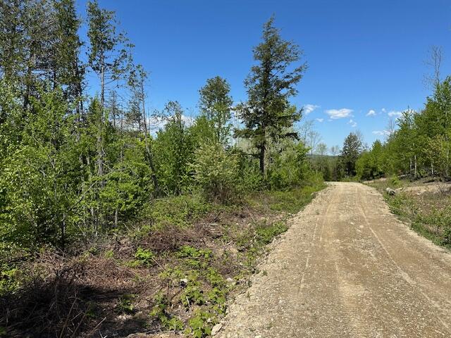 Lot 11 Mt. Jefferson Heights Lee
