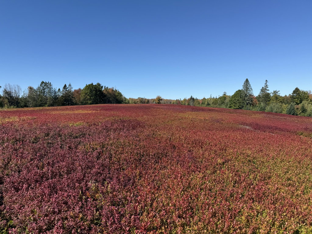 MAP 31 LOT 29