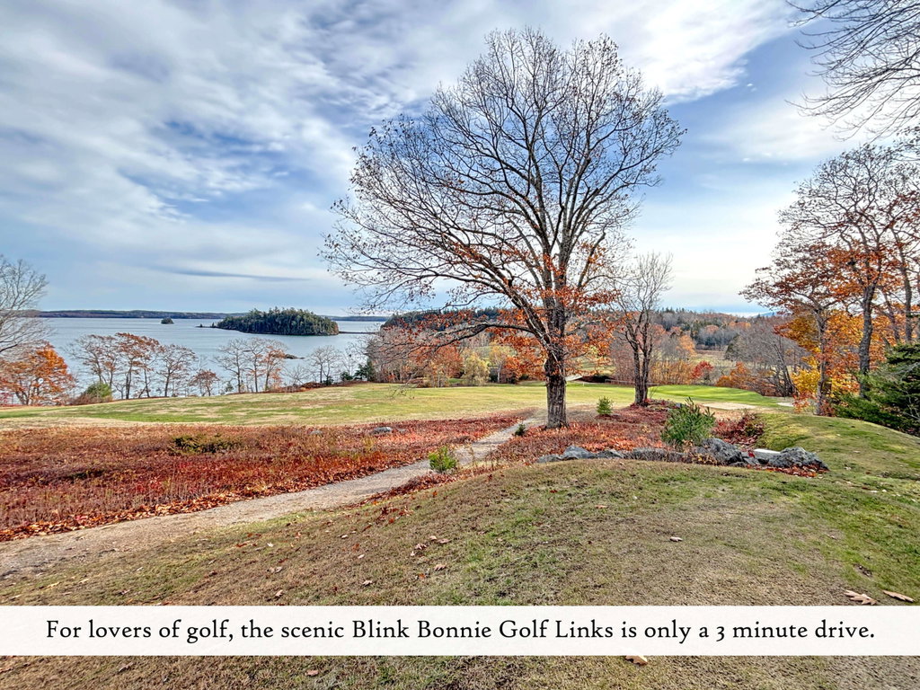 Blink Bonnie Golf Links (1), label