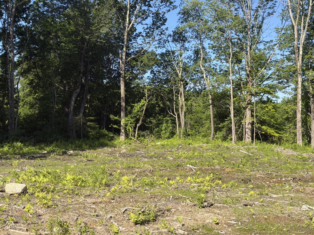 Lot #2 High Point Road Falmouth