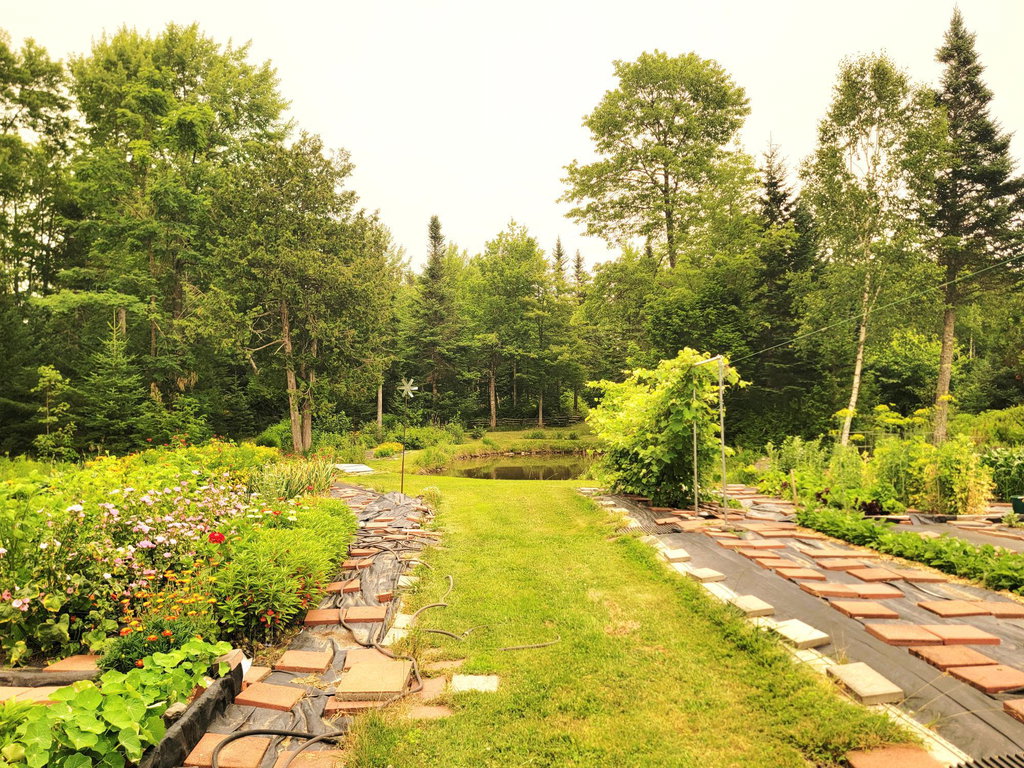 Extensive Gardens