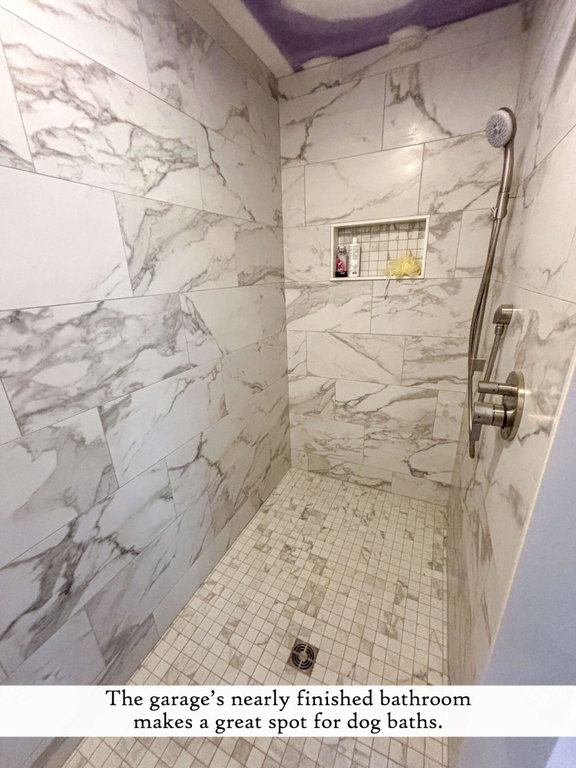 Garage's Near Finished Bathroom (1), lab