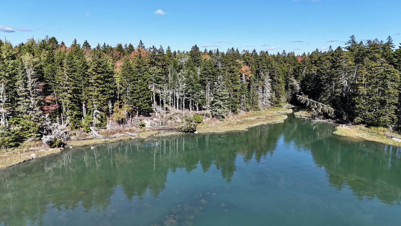 dji_fly_20261003_144338_0379_17912071058