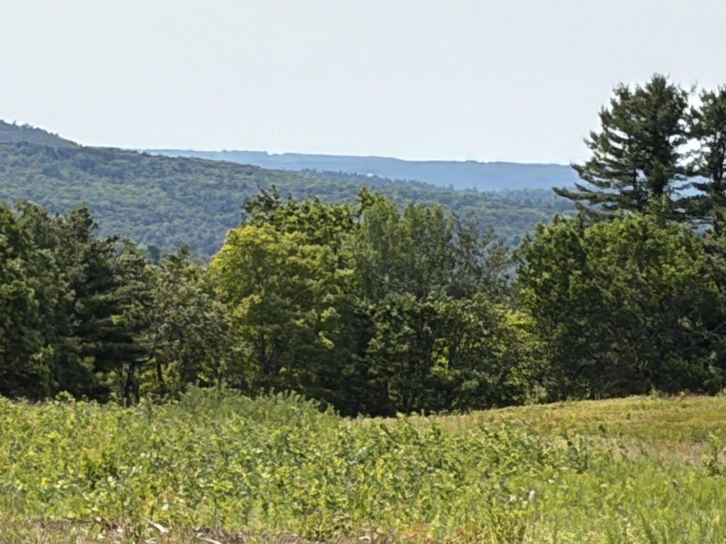 44 Acres Belden Woods Road  Palermo