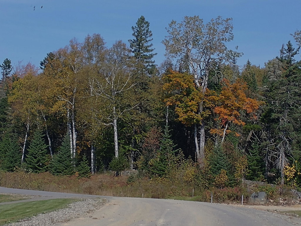 92 Big Snow Way  Rangeley