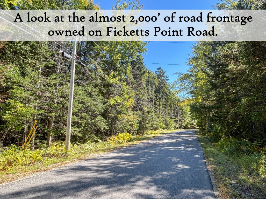 Frontage on Ficketts Point Road - label