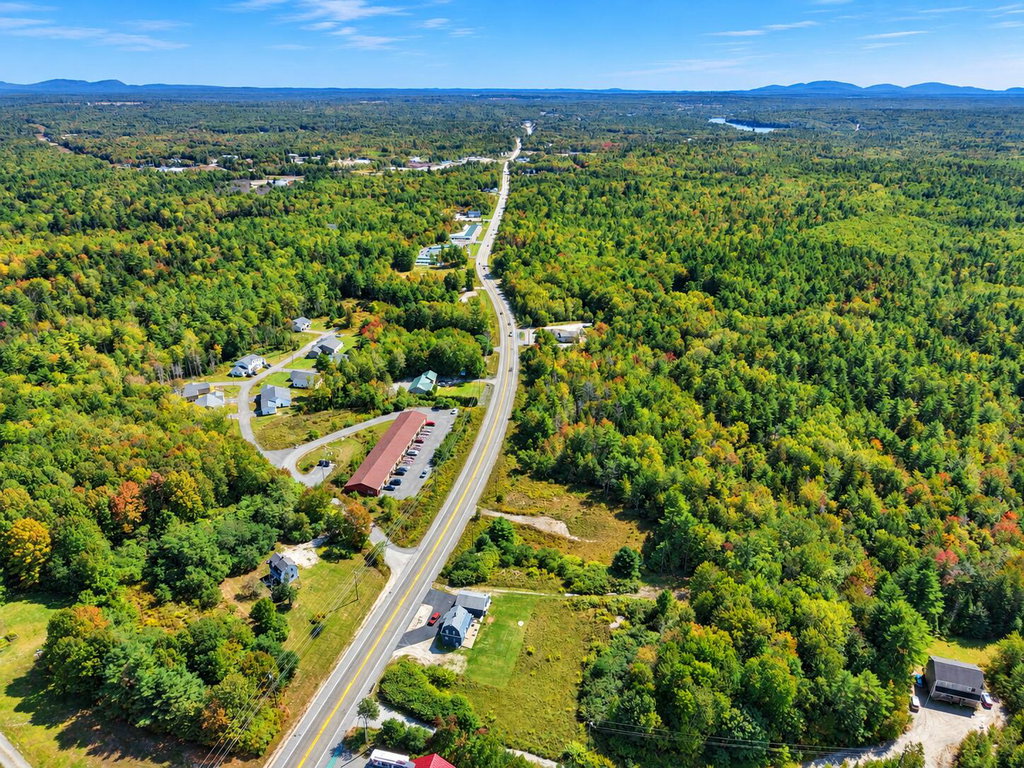 Drone view