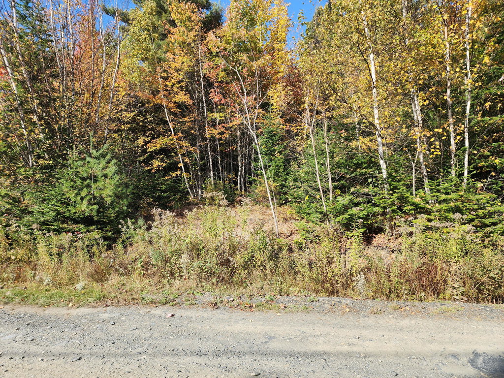 Lot 5-8 Bushey Road Greenville