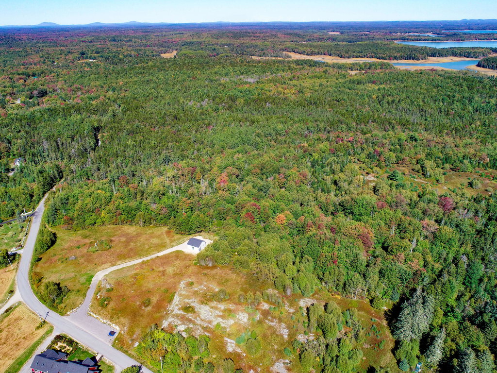 Aerial (6)