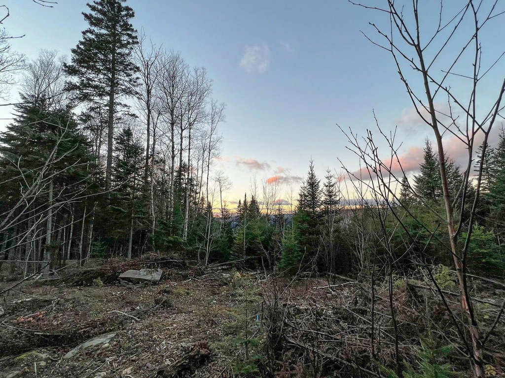 Lot 16 Mill Brook Road Sandy River Plt