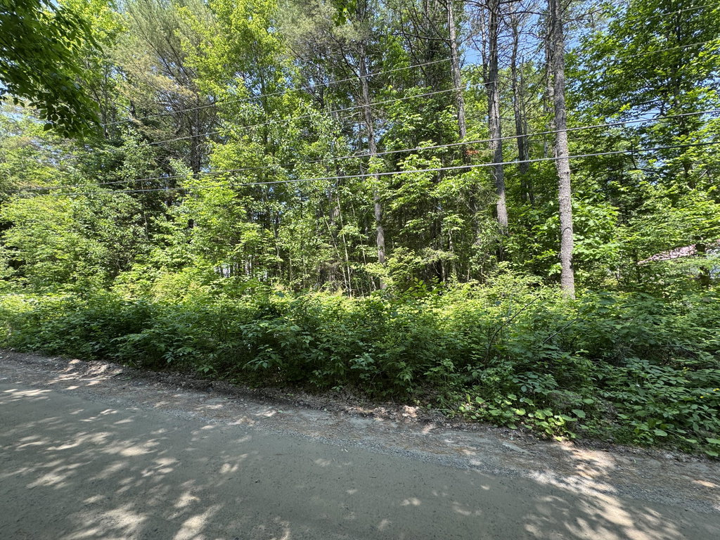 Lot 73A Lone Indian Trail Augusta